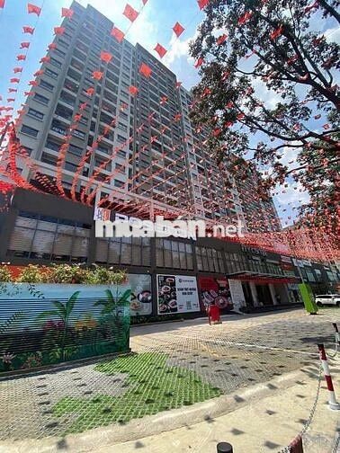 CHO THUÊ 2 CĂN CHUNG CƯ A6A7 PHƯỜNG TRẤN BIÊN GIÁ 8 VÀ 9 TRIỆU