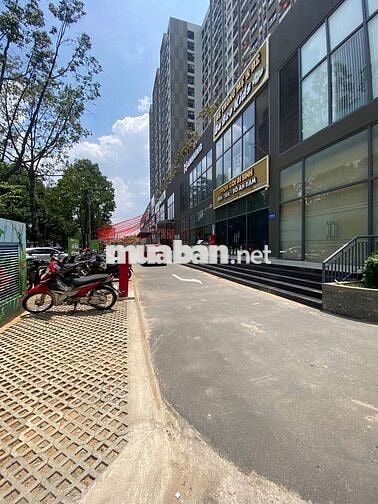 CHO THUÊ 2 CĂN CHUNG CƯ A6A7 PHƯỜNG TRẤN BIÊN GIÁ 8 VÀ 9 TRIỆU