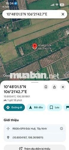 BÁN ĐẤT SẢN XUẤT – ĐỨC HUỆ, LONG AN