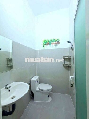 cho thuê nhà mới đẹp có nội thất nhiều cây xanh