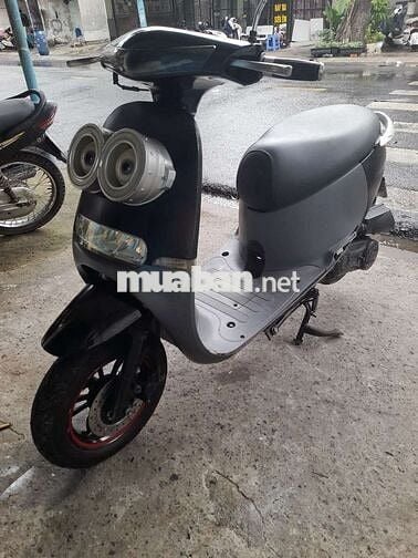 Xe tay ga 50cc biển sài gòn
