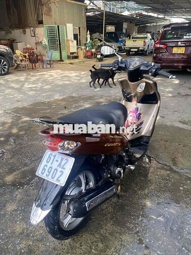 Yamaha Mio Ultimo 2010 Nâu