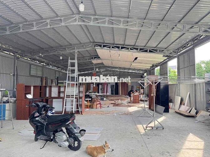 Kho 12x30m Phú Hoà Thủ Dầu Một