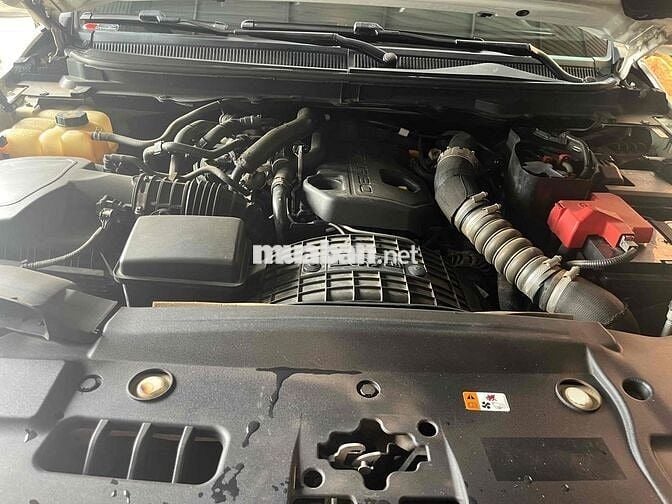 Ford Wildtrak Bi-Turbo 2.0 79.000 km Trắng