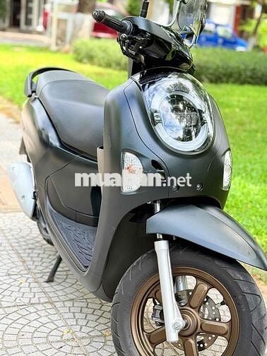 Honda Scoopy 2026 màu Đen