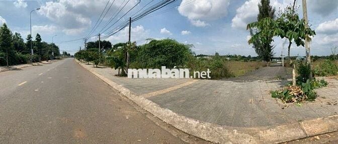 Bán đất 1500m2 ( 600 thổ) Hòa Long, Bà Rịa – Đường nhựa 14m