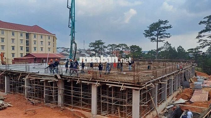 Mình cần tuyển thợ . Phụ hồ coppa 