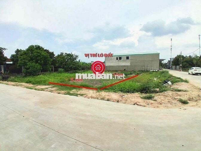 Cần Bán Gấp - Đất Thổ Cư - SHR - Đường 8m - Sổ Sẵn Công Chứng Ngay