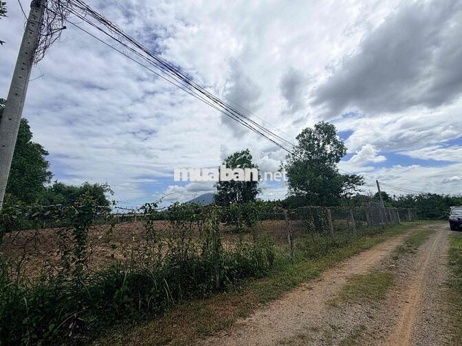 bán 2700m2 đất sổ riêng P. Ninh Thạnh Tây Ninh