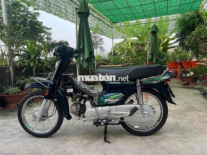 Honda Super Dream 1998 Xanh limited