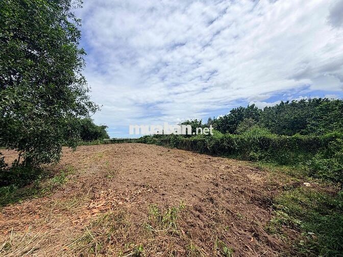 bán 2700m2 đất sổ riêng P. Ninh Thạnh Tây Ninh