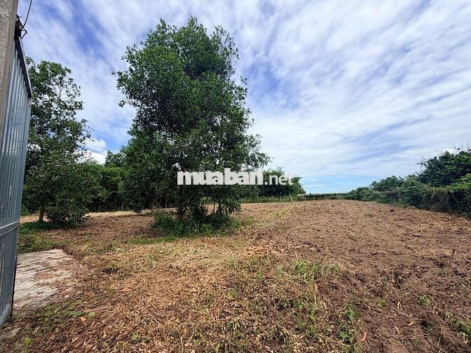 bán 2700m2 đất sổ riêng P. Ninh Thạnh Tây Ninh