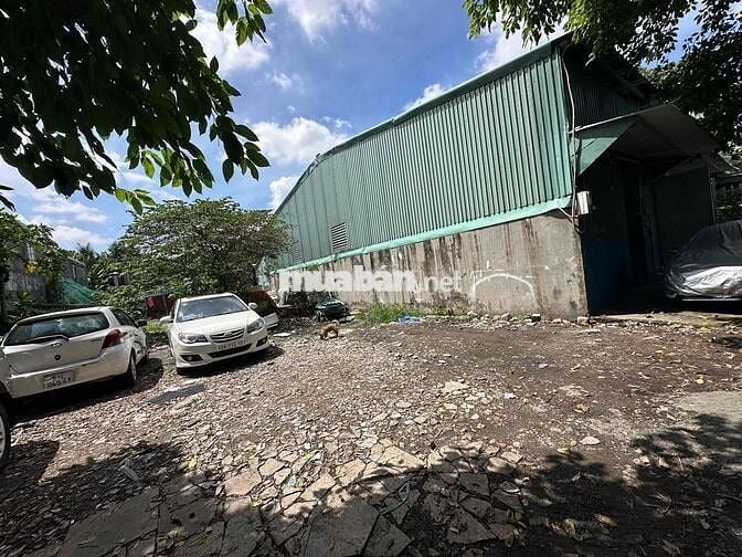 cho thuê nhà kho xưởng 5x25m. điện 3 pha sẵn