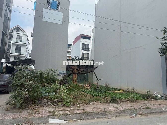 Chính chủ cần bán đất phân lô khu đô thị Vân Canh