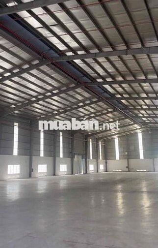 XƯỞNG CHO THUÊ 4000m2  KCN HẢI SƠN – ĐỨC HÒA, LONG AN | BÀN GIAO NGAY