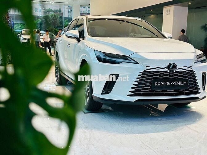 Xe Lexus RX 350h Luxury 2026