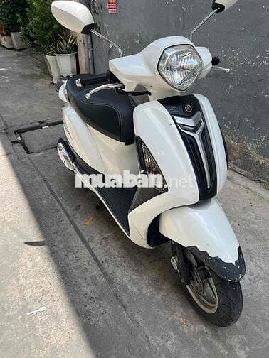 Yamaha Grande Trắng