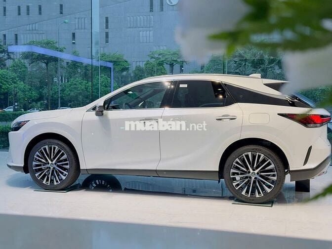 Xe Lexus RX 350h Luxury 2026