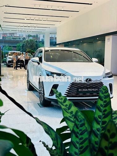 Xe Lexus RX 350h Luxury 2026