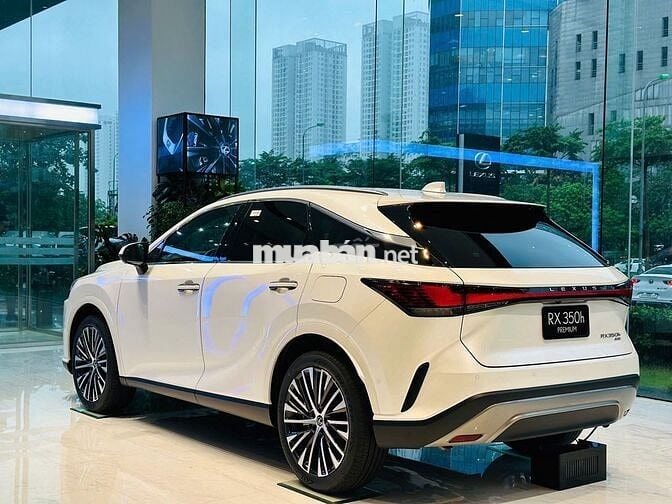 Xe Lexus RX 350h Luxury 2026