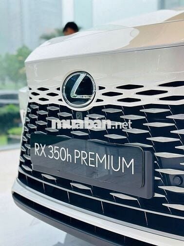 Xe Lexus RX 350h Luxury 2026