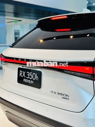 Xe Lexus RX 350h Luxury 2026