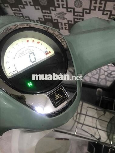Cup 50 cc Dealim Hàn Quốc Xanh cốm 43 ĐN