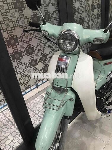 Cup 50 cc Dealim Hàn Quốc Xanh cốm 43 ĐN
