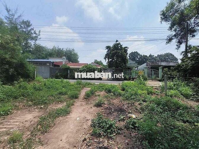BÁN ĐẤT LÔ GÓC DT: 369M2 SẴN SỔ GIÁ CỰC TỐT TẠI – DH 507, XÃ AN THÁI,