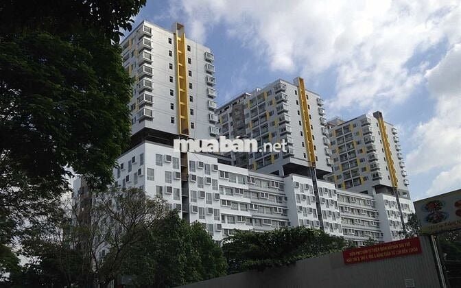 🌇 Studio Charmington La Pointe 35m² | Full Nội Thất Mới | View Cực Đẹp