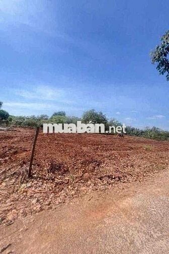 bán đất khu phố thanh hoà ,p an lộc ,tp đồng nai