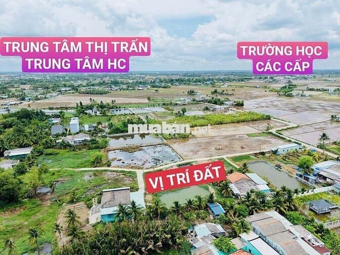 Sổ Hồng Riêng 230 Triệu. 70.4m2 Thổ Cư Đường Xe 16 chỗ. Khu dân đông