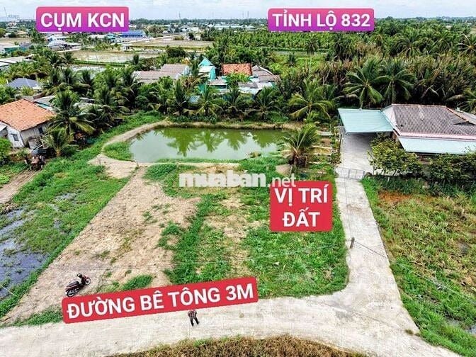 Sổ Hồng Riêng 230 Triệu. 70.4m2 Thổ Cư Đường Xe 16 chỗ. Khu dân đông