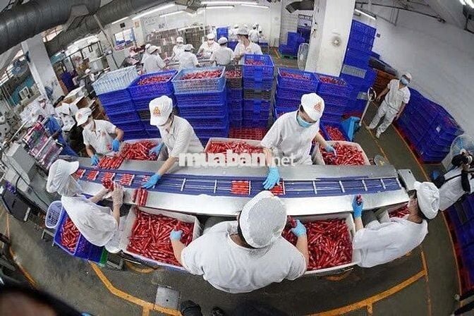 TÌM 10 NHÂN VIÊN NAM CHẾ BIẾN THỜI VỤ