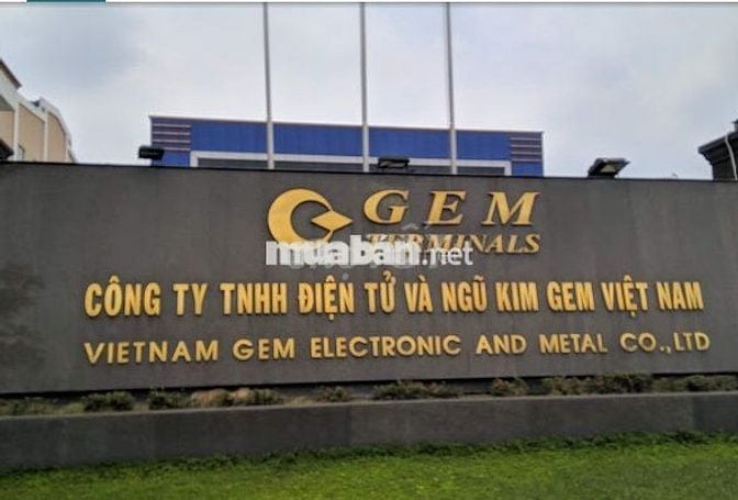🔥CTY ĐIỆN TỬ - BAO CƠM CA - CÔNG NHÂN LẮP RÁP🔥