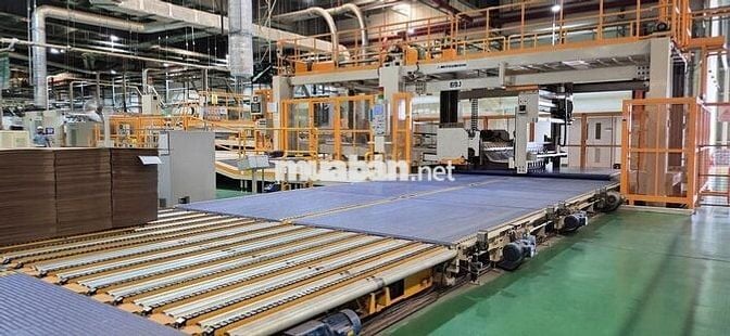 🔥CTY BAO BÌ GIẤY - ĐƯỢC ỨNG LƯƠNG - BAO CƠM 2 BỮA🔥