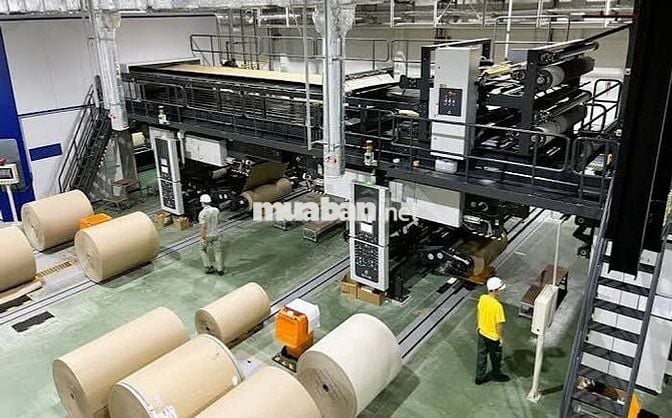 🔥CTY BAO BÌ GIẤY - ĐƯỢC ỨNG LƯƠNG - BAO CƠM 2 BỮA🔥