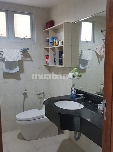Căn hộ Tản Đà Court, 86 Tản Đà, Quận 5, 102m2, 19tr