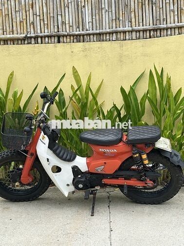 Honda Cub độ 2024 Đỏ Trắng Cũ