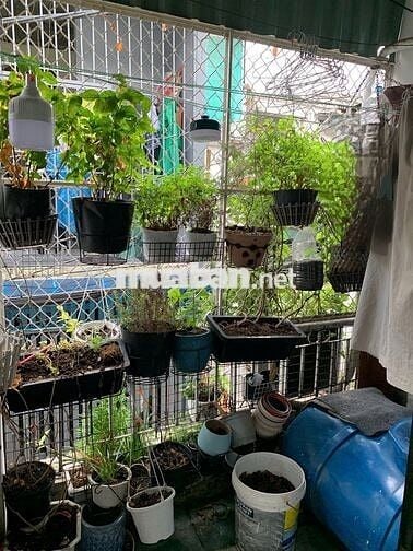Nhà nhỏ 23m2 Nơ Trang Long cho cặp vợ chồng trẻ giá rẻ