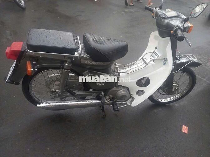 Honda Cub Trắng, Xám