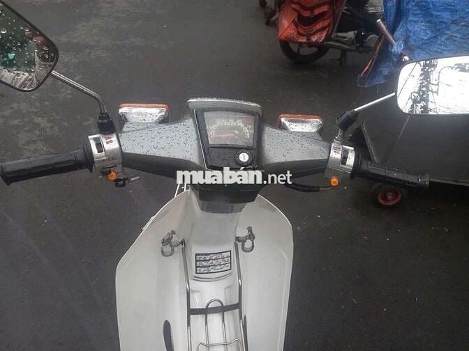 Honda Cub Trắng, Xám