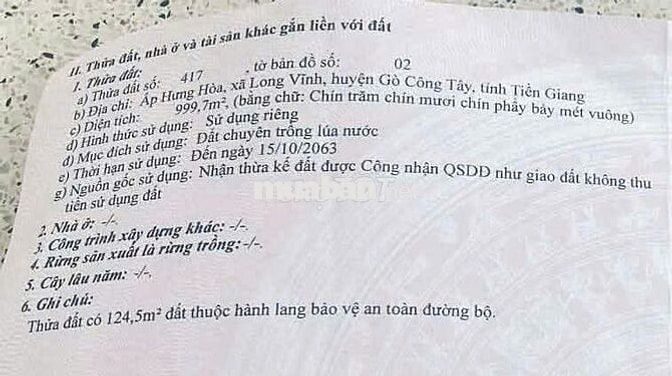Bán đất trồng cây lâu năm, gần 1000m2, Gò Công Tây, Tiền Giang