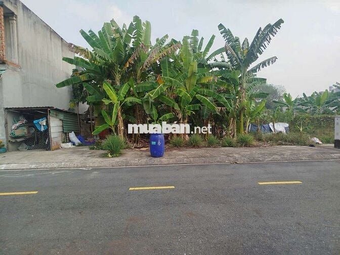 Đất thổ cư Hoà lợi xây dựng tự do. chỉ  1ty320