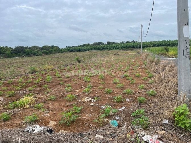  LÔ GÓC 2 MẶT TIỀN ĐẸP TẠI ĐÔNG HÒA, HƯNG THỊNH | NGANG 12M | CHỈ 1,