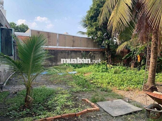 Bán đất 12x75m, có nhà trên đất, hẻm 5m, 1/ Ngắn Đỗ Văn Dậy, Hốc Môn