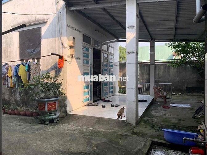 Bán đất 12x75m, có nhà trên đất, hẻm 5m, 1/ Ngắn Đỗ Văn Dậy, Hốc Môn