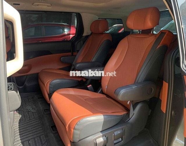 Carnival Signature 2025 qua sd hỗ trợ góp 75%