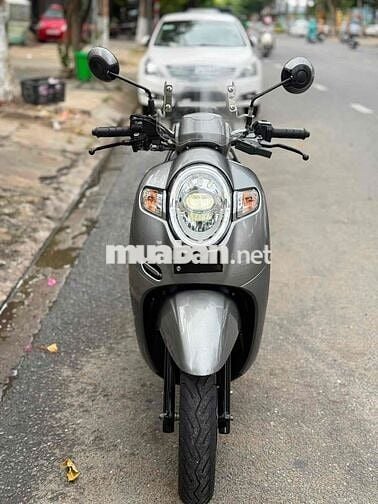 Honda Scoopy 2020 Xám
