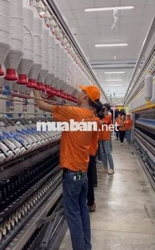 [HAD-Long An] TUYỂN CÔNG NHÂN DỆT MÁY